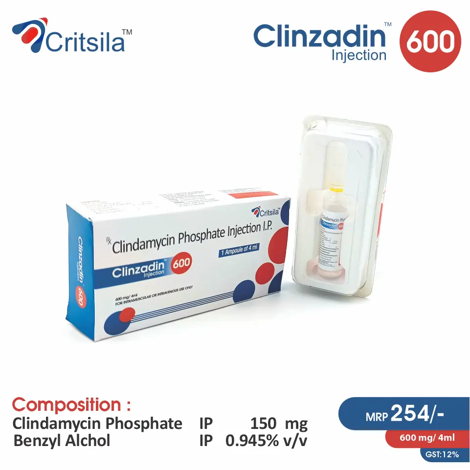 Clindamycin 600mg Injection at Best Price in PCD Pharma Franchise for Antibiotics and Bacterial Infections.